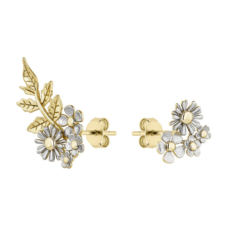 BOUCLES D&