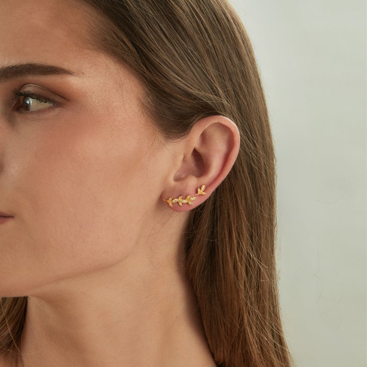 BOUCLES D&