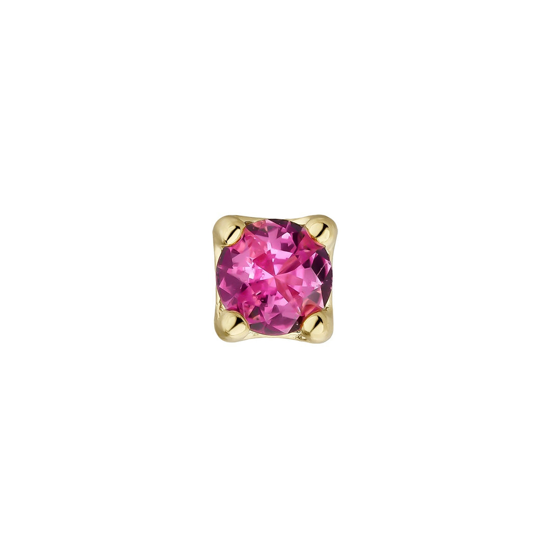 LUZ-TRAGUS GEELGOUD PIERCING OORBEL