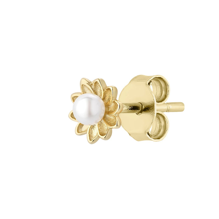 BOUCLE D&