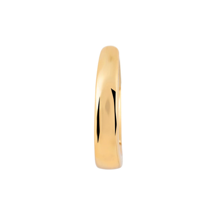 PIERCING OORBEL RING CHARLIZE