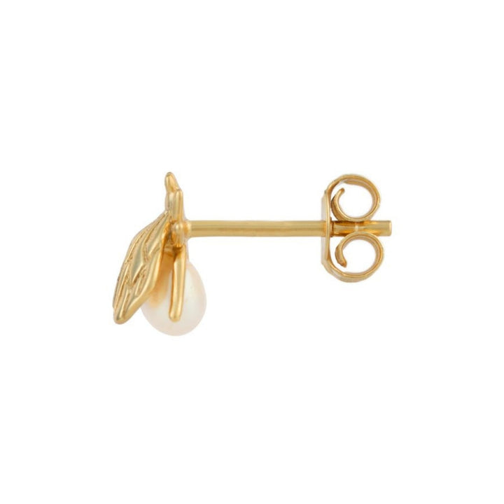ORECCHINO PIERCING PICCOLA MOSCA