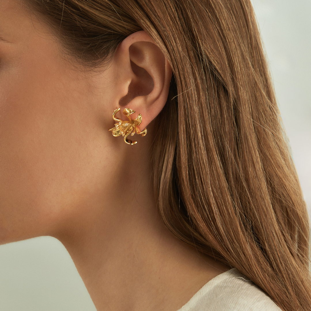BOUCLES D&